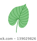 Single green tropical leaf isolated on white background, minimalist botanical foliage element for logo design and summer wedding invitation 139029826