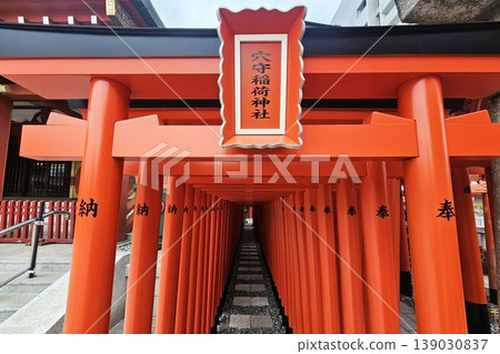 Corridor of vibrant red torii gates at the Anamori Inari Shrine in Tokyo, Japan. 139030837