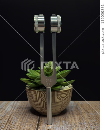 Tuning Fork Above Succulent Plant on Wooden Surface Symbolizing Sound Healing Frequency Energy Mindfulness Meditation Wellness Concept With Minimal Aesthetic and Dark Background Tuning Fork Above Succulent Plant on Wooden Surface Symbolizing Sound Healing Frequency Energy Mindfulness Meditation Wellness Concept With Minimal Aesthetic and Dark Background 139030881