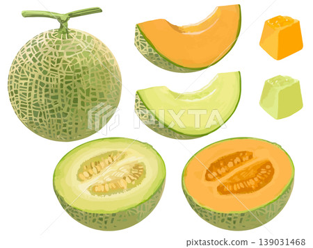 A set of various ways to cut a melon (whole, half, wedges, and slices) - red and green flesh. A set of various ways to cut a melon (whole, half, wedges, and slices) - red and green flesh. 139031468