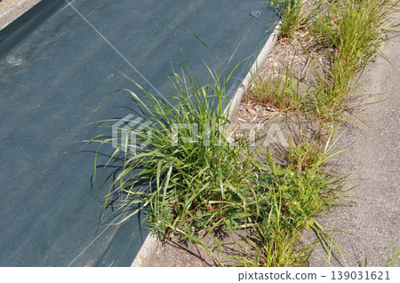 Grass protection sheet Grass protection sheet 139031621