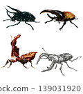 insect set 139031920