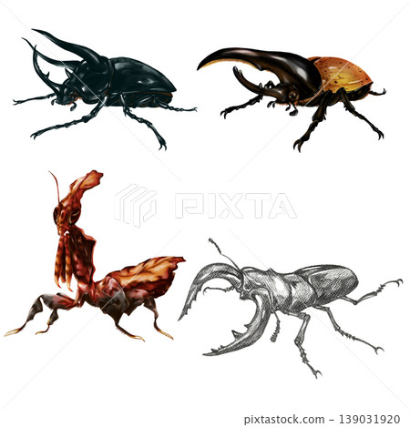 insect set insect set 139031920