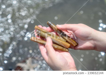 一位婦女拿著她在挖蛤蜊時收集的竹蟶。 一位婦女拿著她在挖蛤蜊時收集的竹蟶。 139032144
