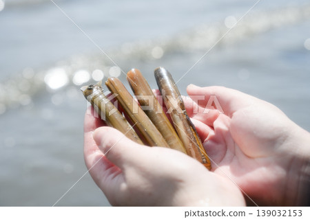 A woman holding a razor clam. A woman holding a razor clam. 139032153