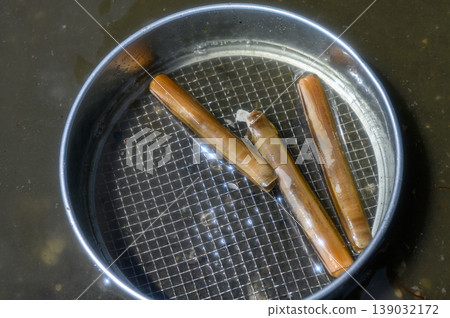 用網過濾的竹蟶 用網過濾的竹蟶 139032172