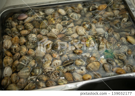 Lots of clams in the tank Lots of clams in the tank 139032177