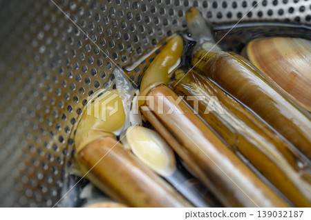 Razor clams being purged of sand underwater 139032187