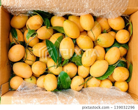 Fresh Ripe Marian Plums or Maprang Fruit in a Delivery Box with Bubble Wrap 139032296