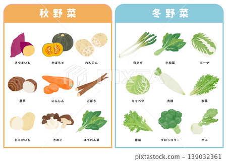 A set of illustrations of various autumn and winter vegetables. A set of illustrations of various autumn and winter vegetables. 139032361