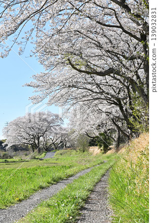 Mine Numeral Field: Spring Farm Road Mine Numeral Field: Spring Farm Road 139032831