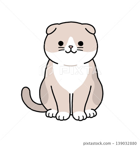 Scottish fold sitting Scottish fold sitting 139032880