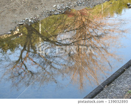 The reflection of trees and the sky on the water's surface The reflection of trees and the sky on the water's surface 139032893