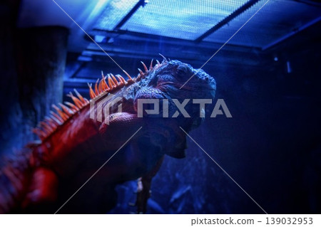 A cool iguana lit up in the lights A cool iguana lit up in the lights 139032953