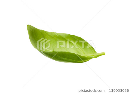 Green basil leaf for cooking and seasoning dishes, PNG Green basil leaf for cooking and seasoning dishes, PNG 139033036
