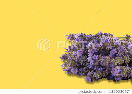 Purple lavender flowers are arranged and displayed 139033067