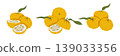 Minimal yuzu citrus branch composition with fruits and slices in clean hand drawn japanese style vector illustration isolated on light background for logo branding juice lemonade and detox themes 139033356