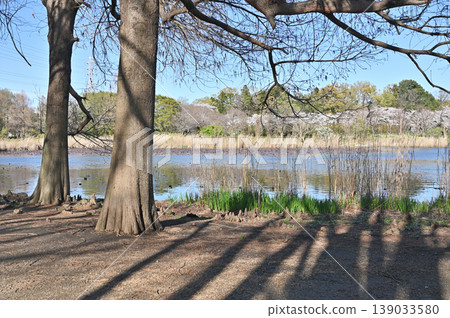 Meanuma稻田：南自然公園 139033580