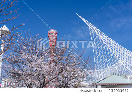 神戶港塔和美利肯公園的櫻花 139033682