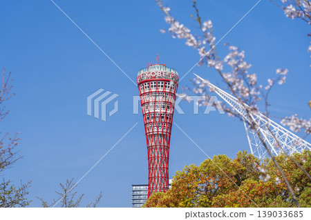 神戶港塔和美利肯公園的櫻花 139033685