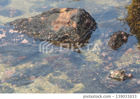 Intertidal Coastal Rocks In Clear Water Intertidal Coastal Rocks In Clear Water 139033833