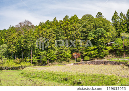 Terraced rice fields in Asuka Village, Nara Prefecture Terraced rice fields in Asuka Village, Nara Prefecture 139033953