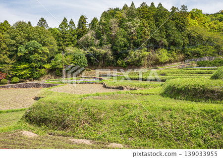 Terraced rice fields in Asuka Village, Nara Prefecture Terraced rice fields in Asuka Village, Nara Prefecture 139033955