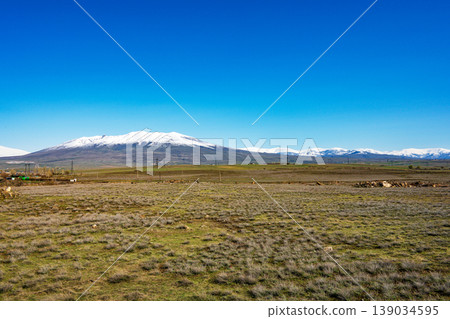 Snow-topped mountains overlook wide, open grassland under bright blue sky Snow-topped mountains overlook wide, open grassland under bright blue sky 139034595
