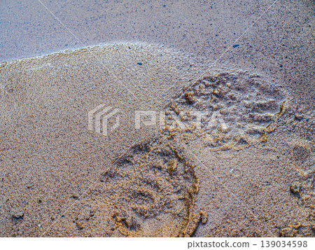 A footprint in the sand washed away by the rain. Zen-style composition symbolizing transience, impermanence and the fleeting nature of presence. Minimalist philosophical trace in the mud A footprint in the sand washed away by the rain. Zen-style composition symbolizing transience, impermanence and the fleeting nature of presence. Minimalist philosophical trace in the mud 139034598