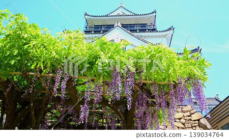 Okazaki Castle and the 50,000-koku Fuji Okazaki Castle and the 50,000-koku Fuji 139034764