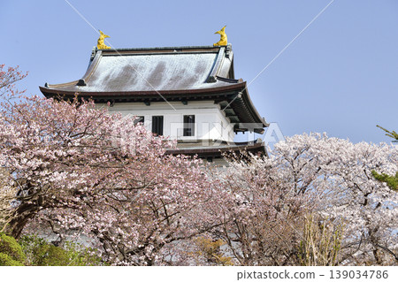 這是一張北海道松前町松前城遺址公園春季景色的照片。 這是一張北海道松前町松前城遺址公園春季景色的照片。 139034786
