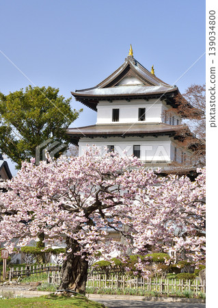 這是一張北海道松前町松前城遺址公園春季景色的照片。 139034800