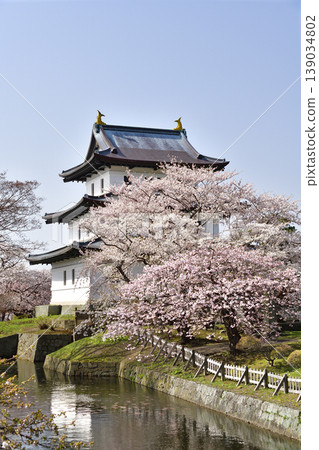 這是一張北海道松前町松前城遺址公園春季景色的照片。 這是一張北海道松前町松前城遺址公園春季景色的照片。 139034802