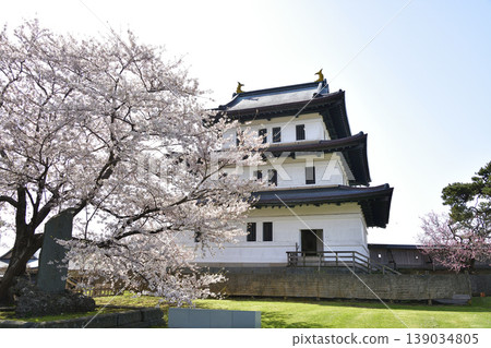 這是一張北海道松前町松前城遺址公園春季景色的照片。 139034805