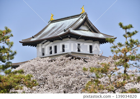 A photograph of the scenery at Matsumae Castle Ruins Park in Matsumae Town, Hokkaido, in spring. A photograph of the scenery at Matsumae Castle Ruins Park in Matsumae Town, Hokkaido, in spring. 139034820