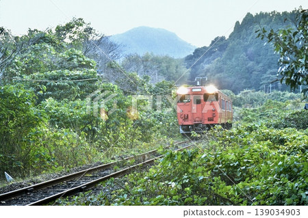 一輛復古的柴油動車組飛馳穿過茂密的森林。 139034903