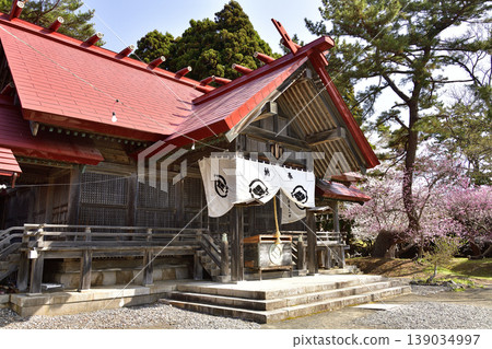 A photograph of the grounds of Matsumae Shrine in Matsumae Town, Hokkaido, in spring. A photograph of the grounds of Matsumae Shrine in Matsumae Town, Hokkaido, in spring. 139034997