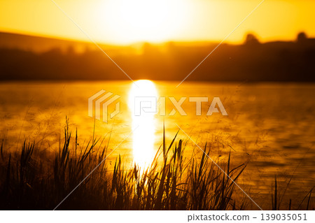 Sunset over lake water with silhouette of grass in foreground. Sunset over lake water with silhouette of grass in foreground. 139035051