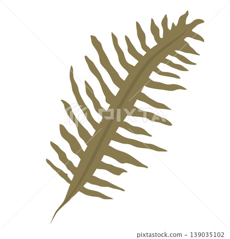 裙帶菜（海藻）圖示插圖 139035102