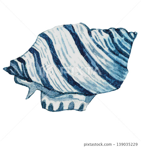 Blue Striped Seashell Illustration Ocean Shell Clipart 139035229