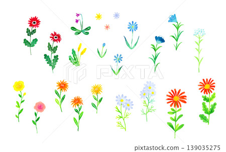 一套簡潔、色彩豐富、風格時尚的花卉插圖：手繪水彩植物插圖。 139035275