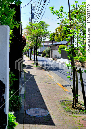 A quiet, upscale residential area around Komaba-Todaimae Station, lined with dogwood trees in bloom. 139035290