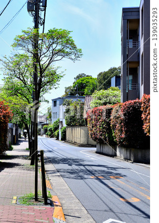 A quiet, upscale residential area around Komaba-Todaimae Station, lined with dogwood trees in bloom. 139035293