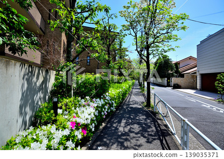 A quiet, upscale residential area around Komaba-Todaimae Station, lined with dogwood trees in bloom. 139035371
