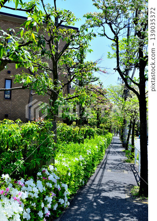 A quiet, upscale residential area around Komaba-Todaimae Station, lined with dogwood trees in bloom. 139035372