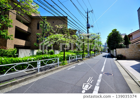 A quiet, upscale residential area around Komaba-Todaimae Station, lined with dogwood trees in bloom. 139035374