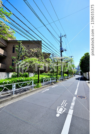 A quiet, upscale residential area around Komaba-Todaimae Station, lined with dogwood trees in bloom. 139035375