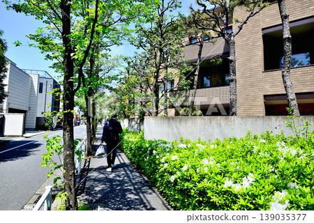 A quiet, upscale residential area around Komaba-Todaimae Station, lined with dogwood trees in bloom. A quiet, upscale residential area around Komaba-Todaimae Station, lined with dogwood trees in bloom. 139035377