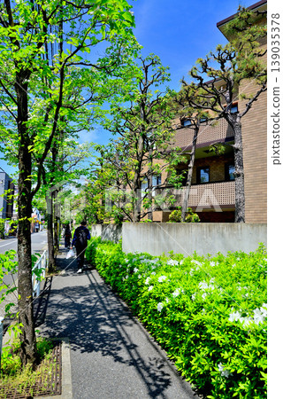 A quiet, upscale residential area around Komaba-Todaimae Station, lined with dogwood trees in bloom. 139035378