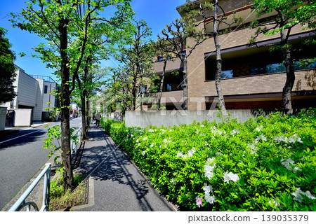 A quiet, upscale residential area around Komaba-Todaimae Station, lined with dogwood trees in bloom. 139035379